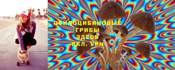спайс Алексеевка
