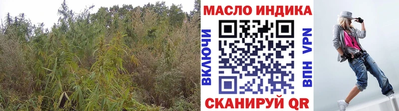 ТГК концентрат Горбатов