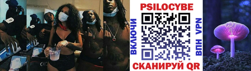 Псилоцибиновые грибы Psilocybine cubensis  omg вход  Горбатов 